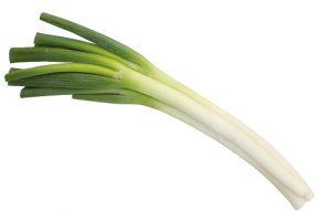 マツコの知らないネギの世界！ネギしゃぶや天ぷらなどのアレンジレシピと作り方は？